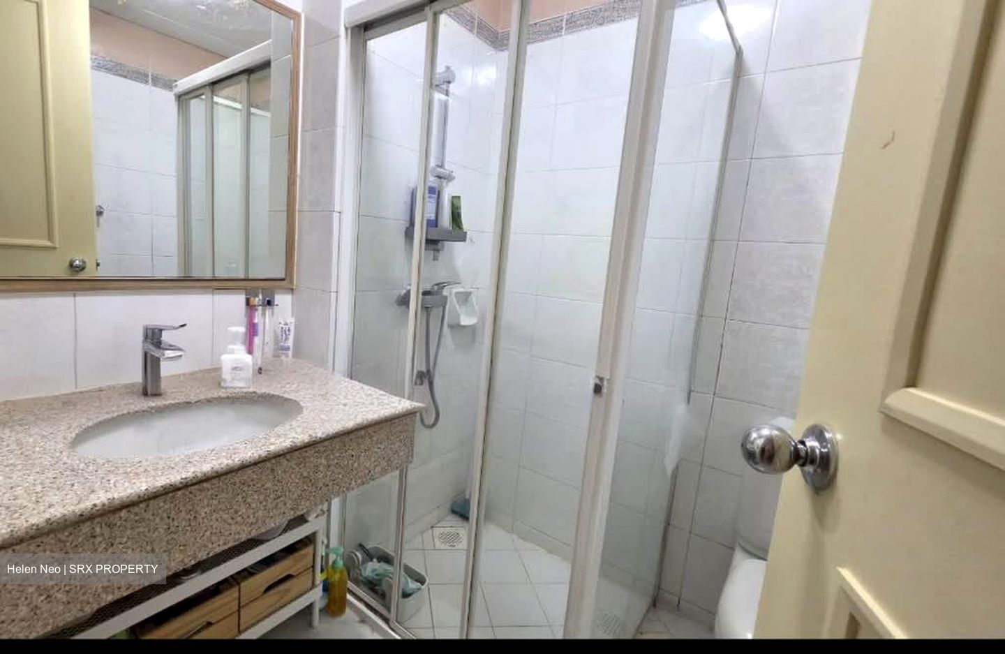 Oleander Towers (D12), Apartment #580362481